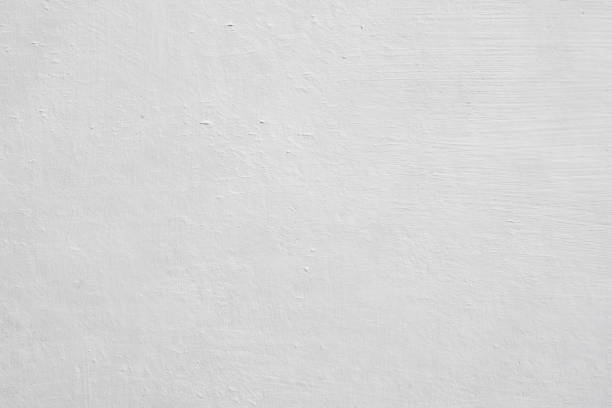 Trusted Harlingen, TX Mold Removal Experts