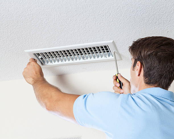 Best Airborne Mold Testing  in Harlingen, TX
