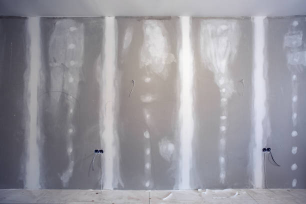 Best Environmental Consulting for Mold Prevention  in Harlingen, TX